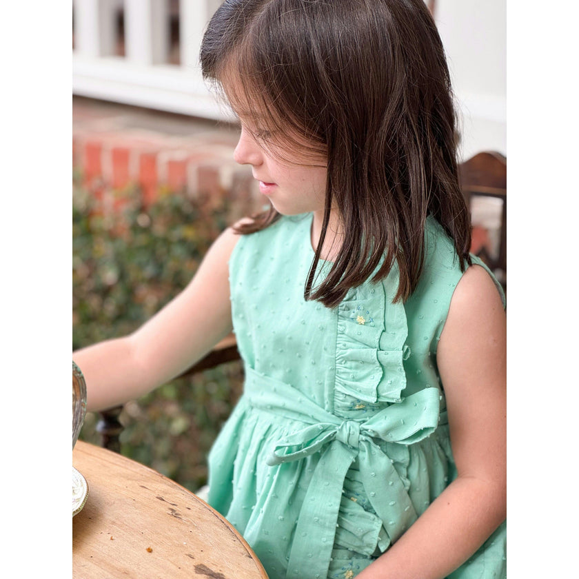 Embroidered Plumetti Dress