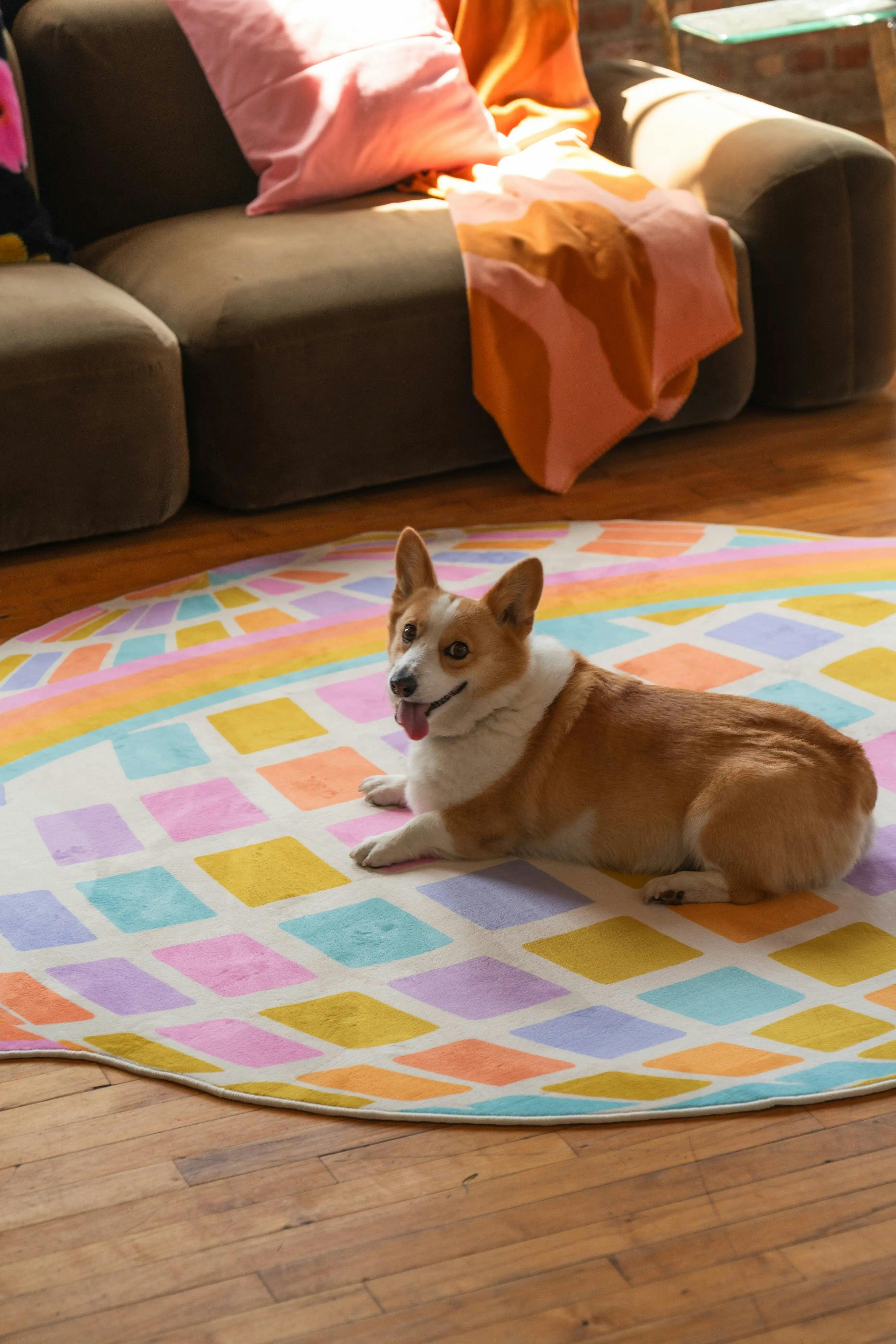 Disco Planet Checkered Rug by Darra Sargent