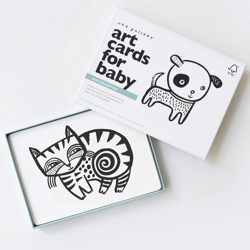 Pets Art Cards for Baby