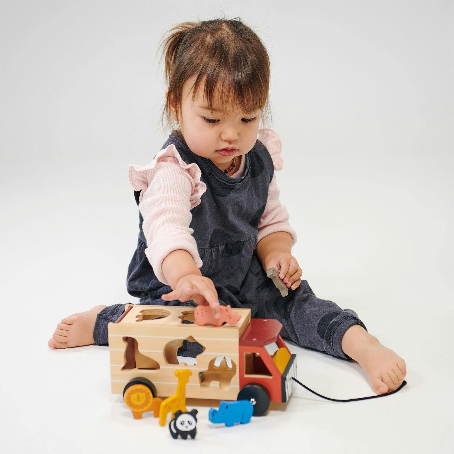 Explorer's Sorting and Stacking Bundle
