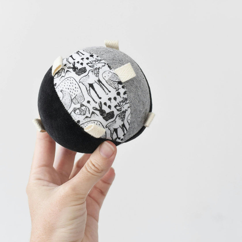 Taggy Ball with Rattle