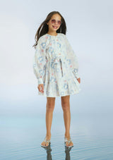 Deanna Sleeve Embroidery Mini Dress