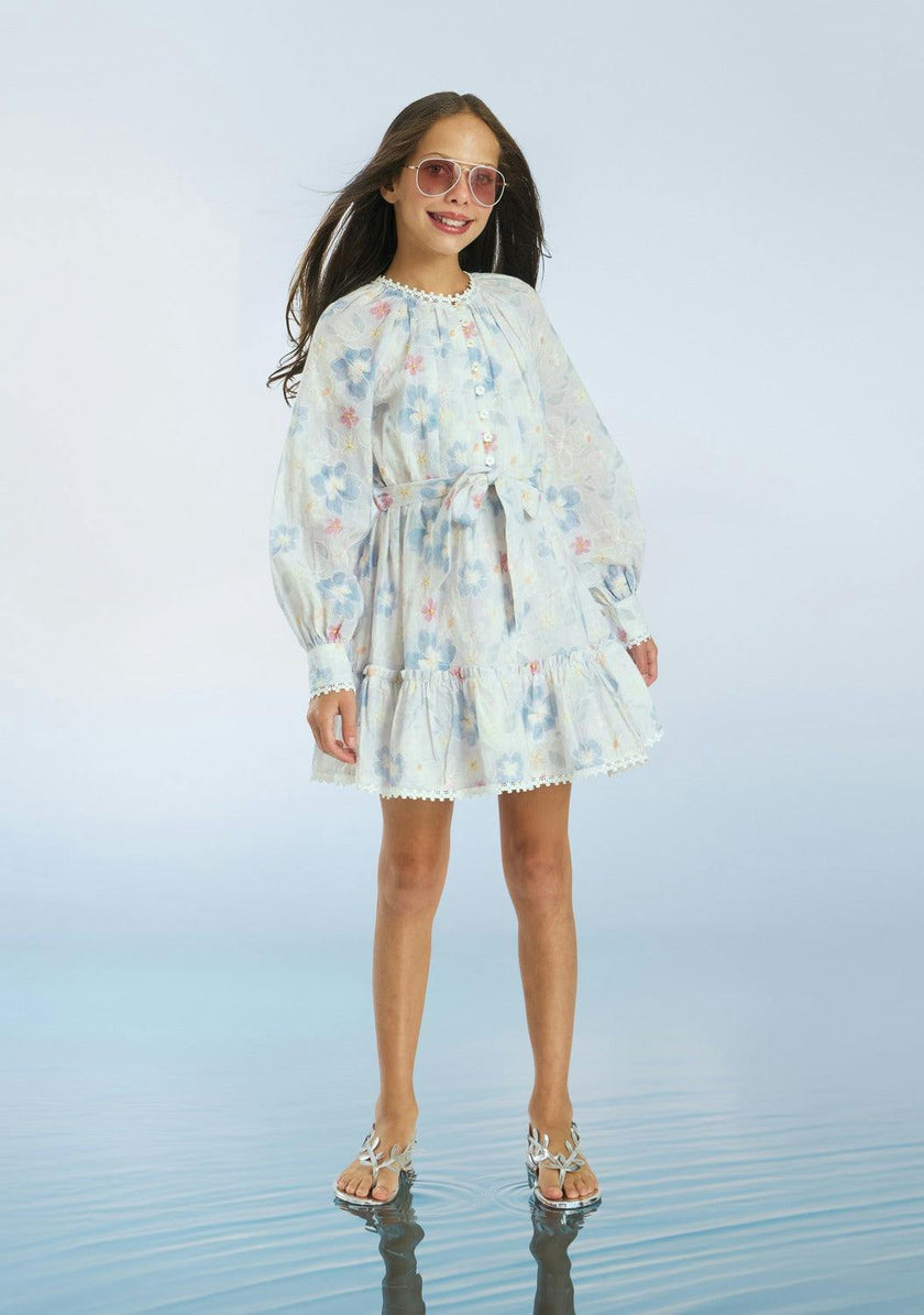 Deanna Sleeve Embroidery Mini Dress