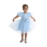 Blue Bow Organza Dress
