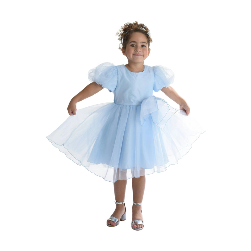 Blue Bow Organza Dress