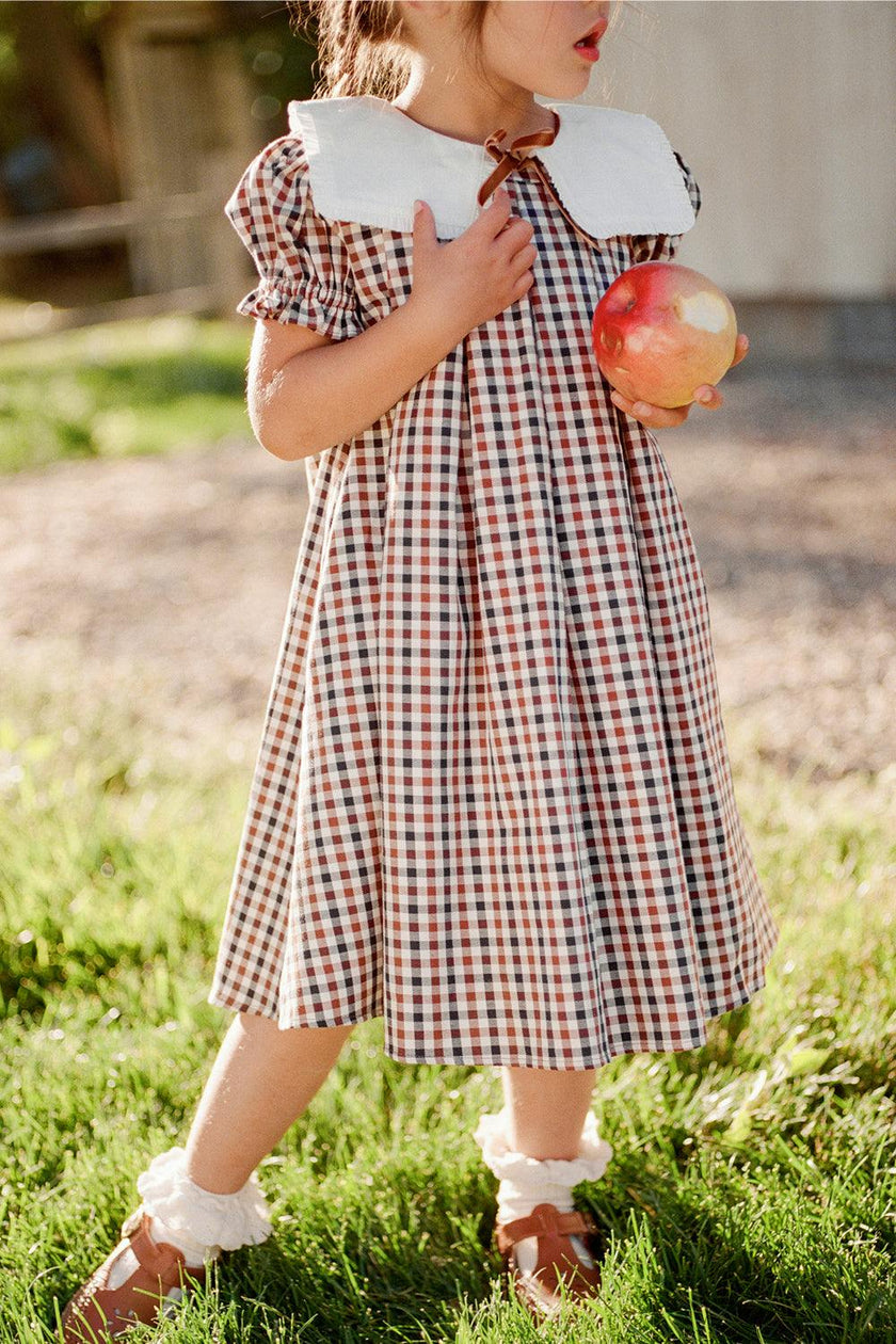Mini Emery Dress in Chestnut Gingham