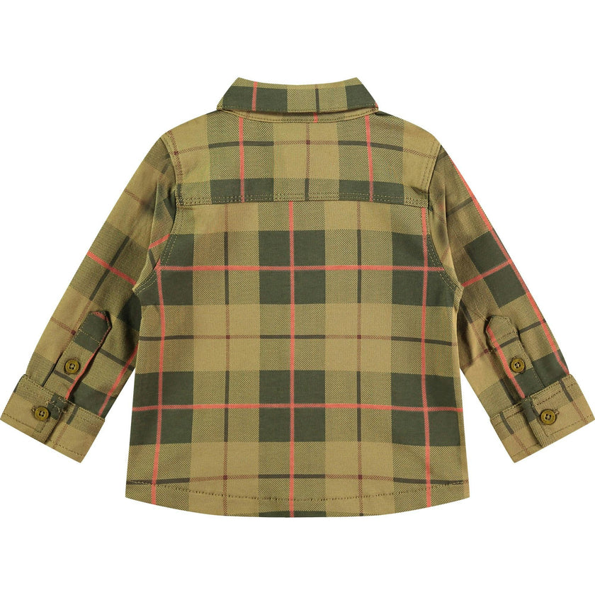 Button Down Shirt