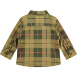 Button Down Shirt