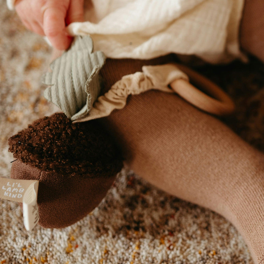 ACORN