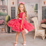 Parisian Rosé Pink Tulle Birthday Party Dress for Girls