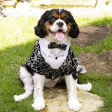 HALLOWEEN GLOWING SPIDER-WEB TAILCOAT, Black