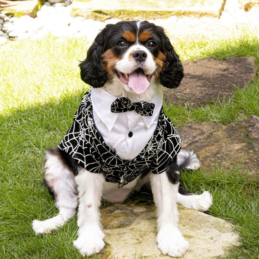 HALLOWEEN GLOWING SPIDER-WEB TAILCOAT, Black