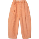 Friday Pant in Sunset Serenade Corduroy