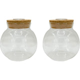 Glass Terrarium: 4" With Cork & 3 LEDs - 2 Pack