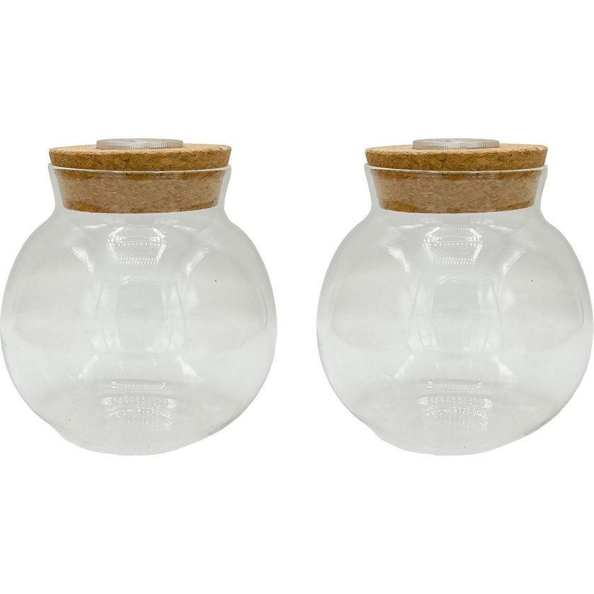 Glass Terrarium: 4" With Cork & 3 LEDs - 2 Pack