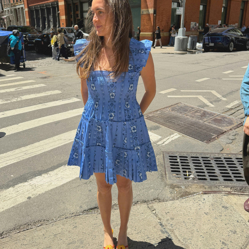 The Charlotte Nap Dress - Blue Arcadia Border
