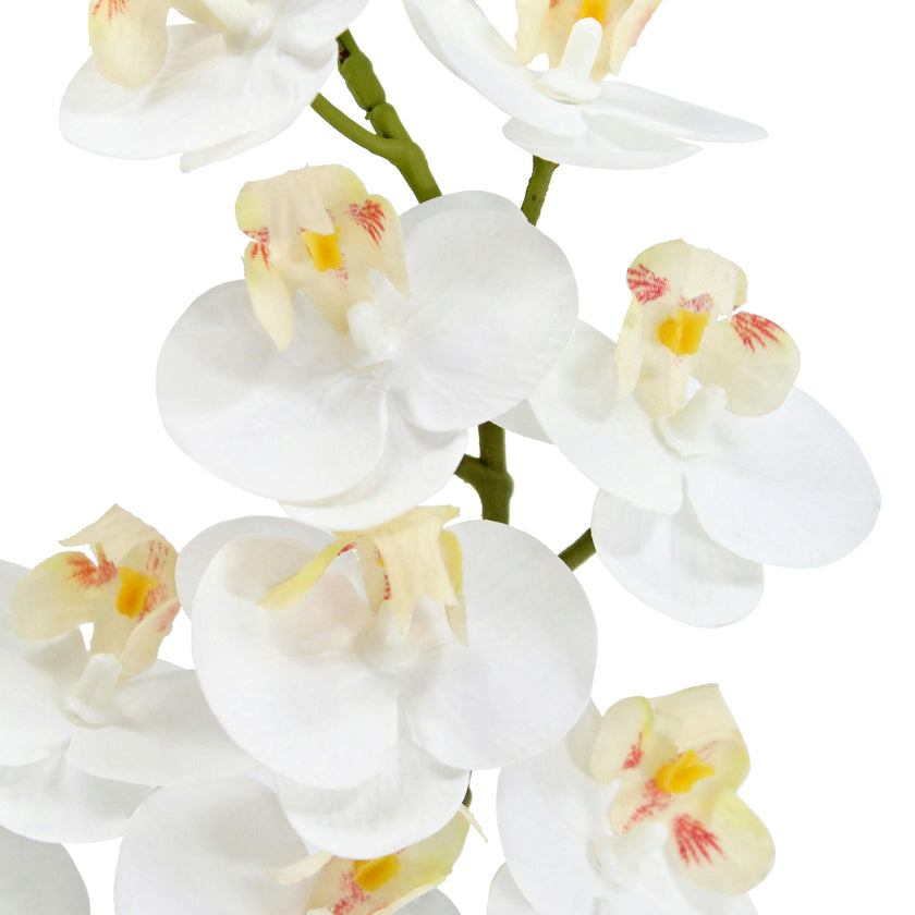 Artificial 2-Stem Phalaenopsis White Orchid