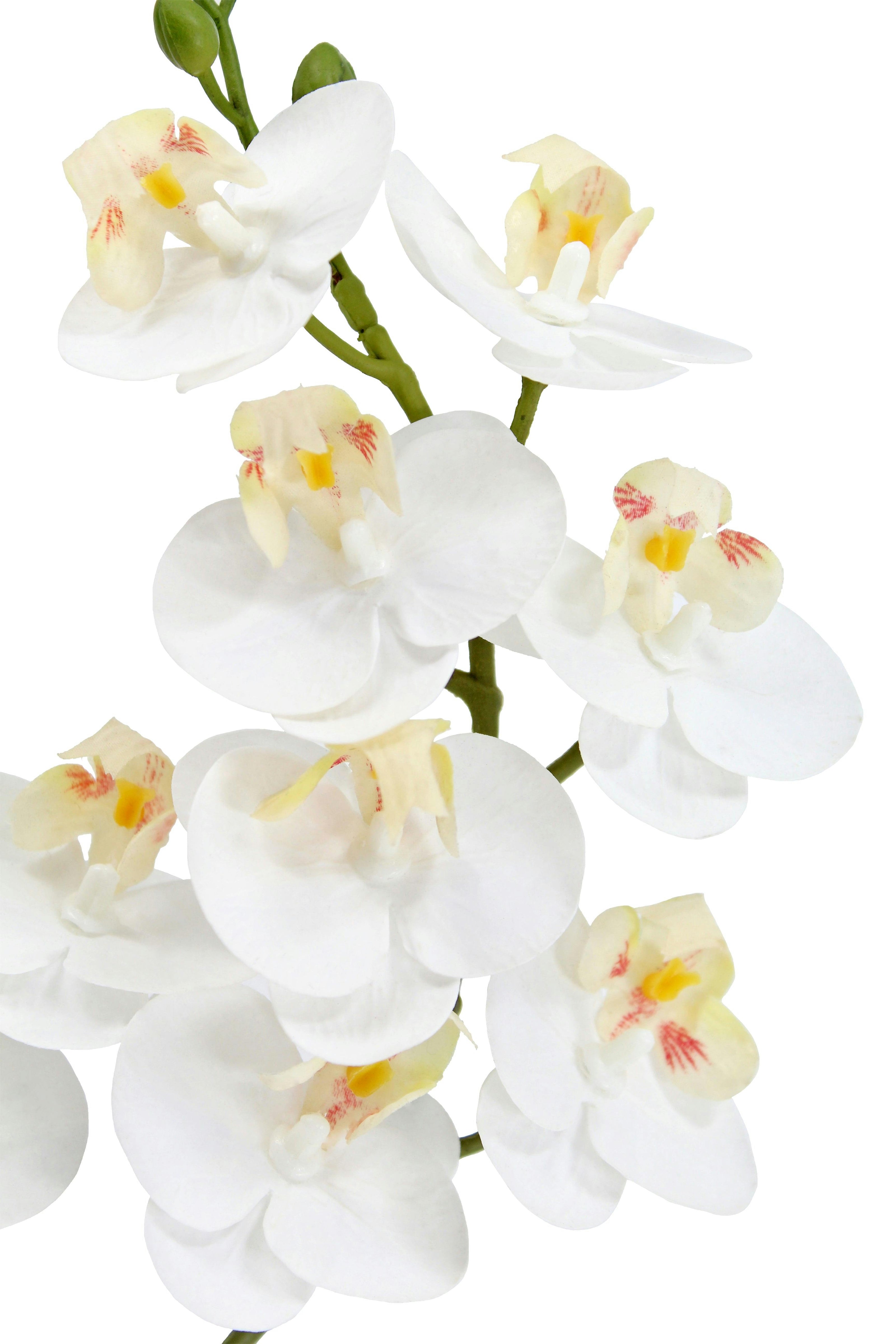 Artificial 2-Stem Phalaenopsis White Orchid