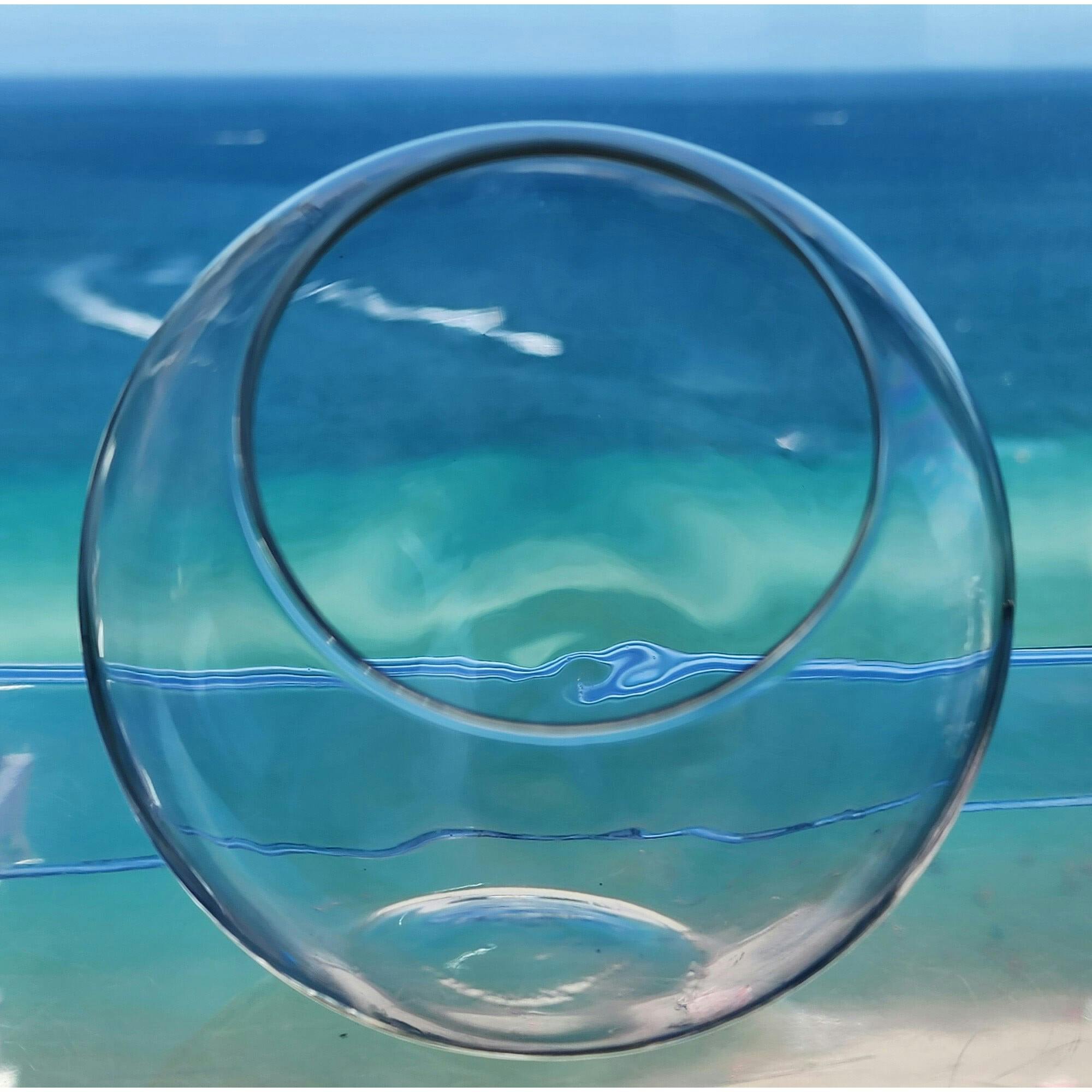 Glass Terrarium: Classic 5