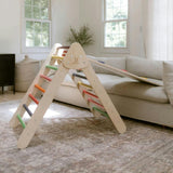 Classic Climber Playset