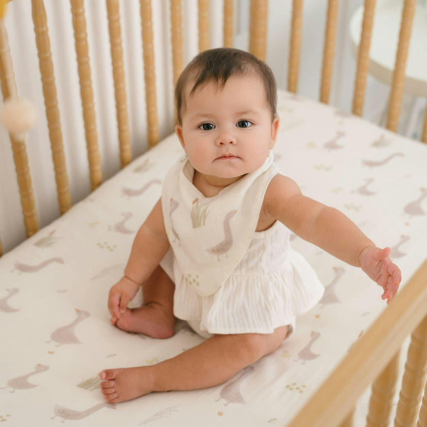 Charlie 3-pc. Farmhouse Goose Baby Bib Set