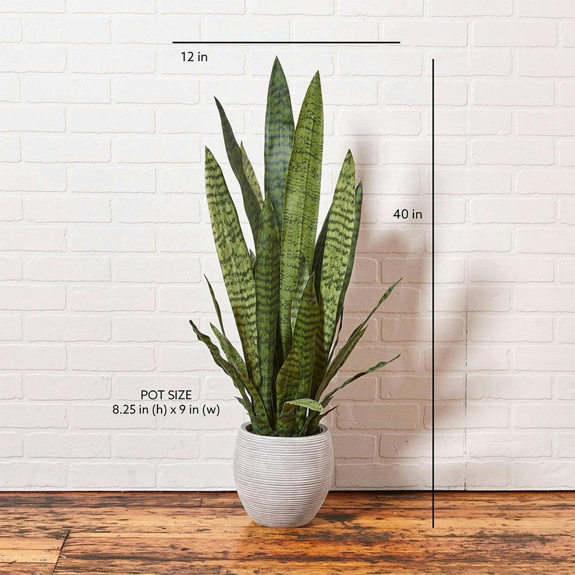 Artificial Snake Plant with Artisan Planter