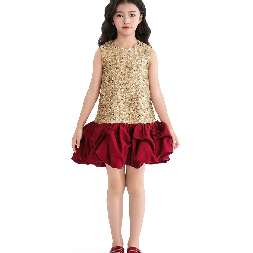 Crimson Ruffles & Golden Gleam Dress
