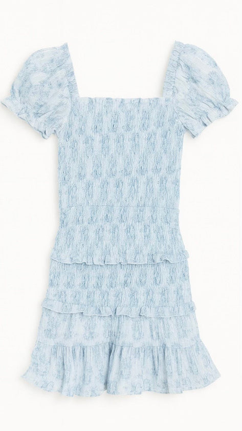 Milou Dress Blue Mini Roses