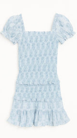 Milou Dress Blue Mini Roses