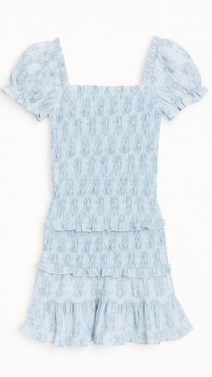 Milou Dress Blue Mini Roses
