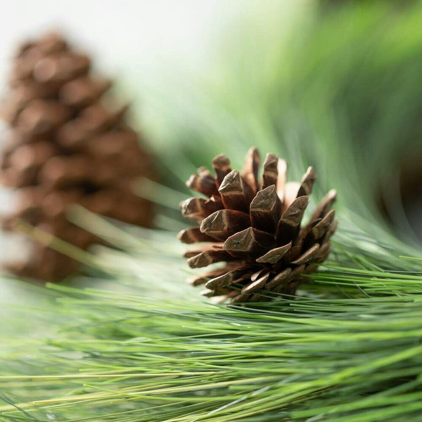 Deluxe Long Needle Pine & Pinecone Faux Winter Greenery Front Door Mantel Wreath
