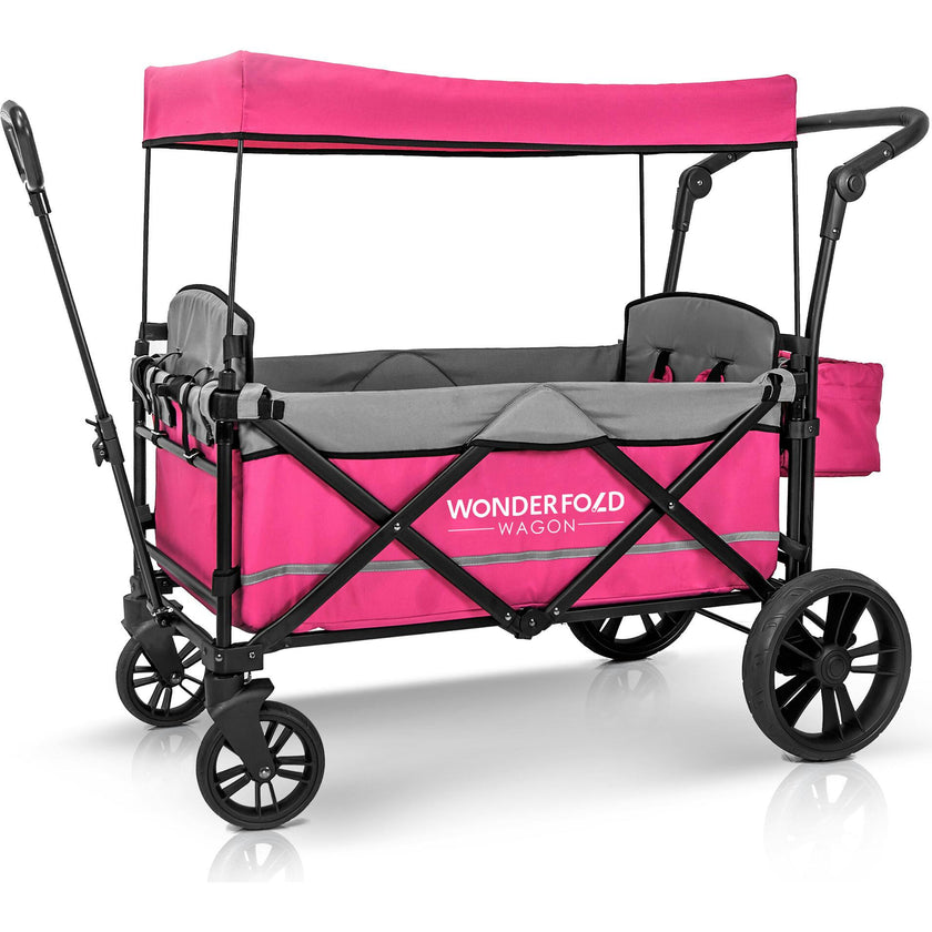 Pull & Push Double Stroller Wagon 2 Seater