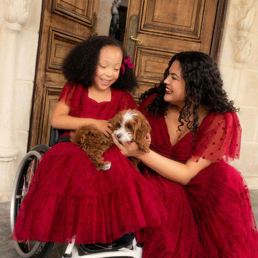 Mini Solange Dress in Burgundy Tulle