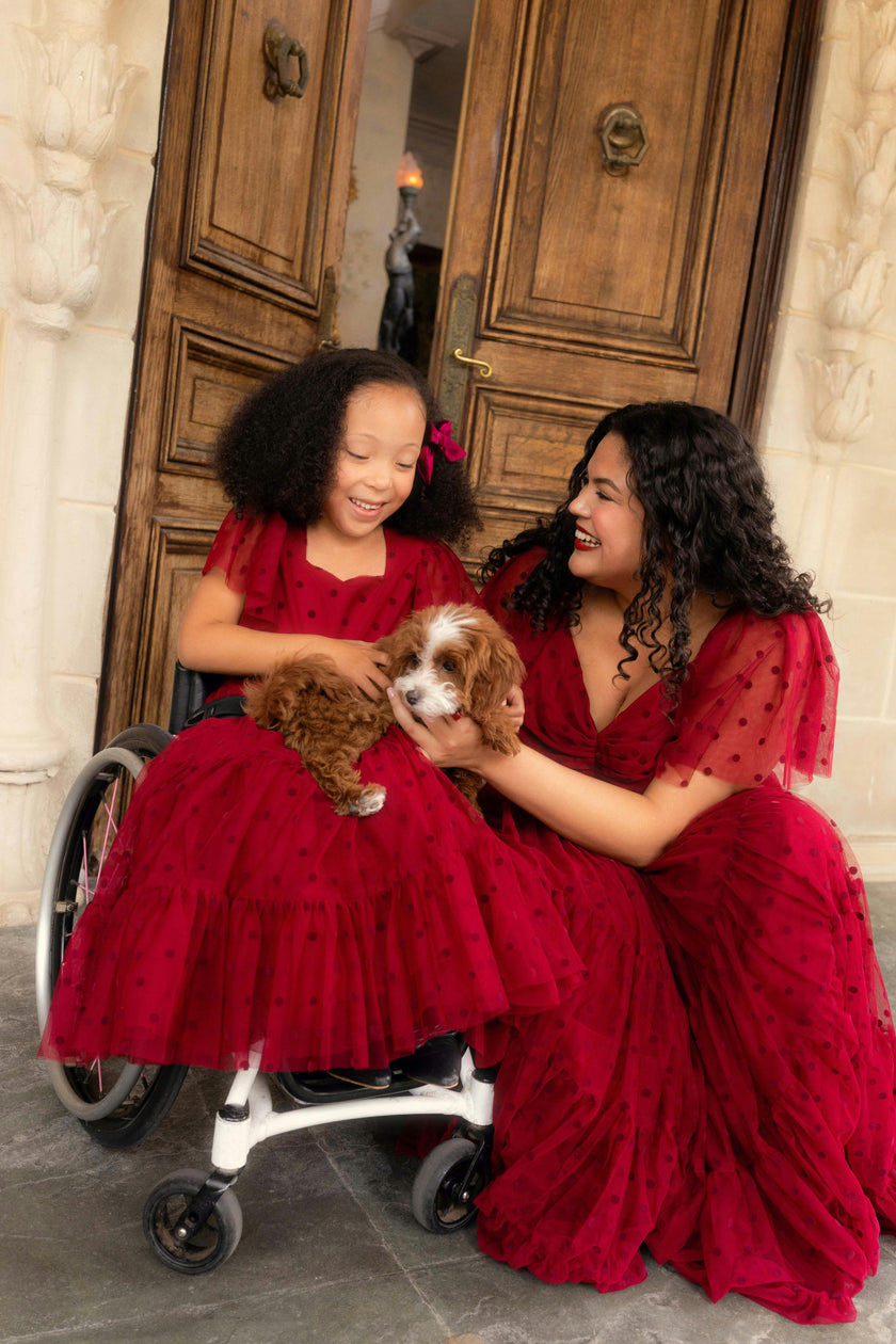 Mini Solange Dress in Burgundy Tulle