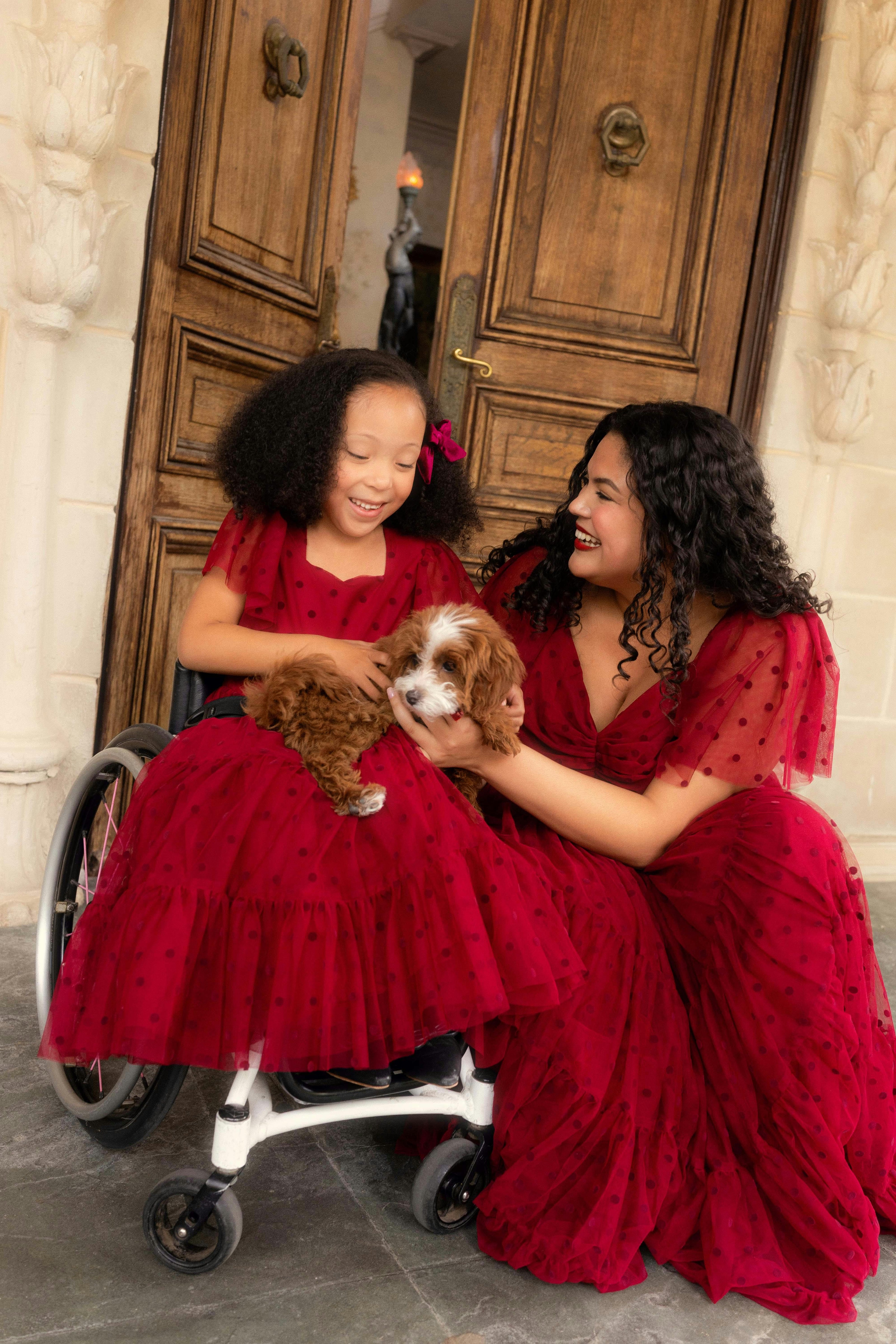 Mini Solange Dress in Burgundy Tulle