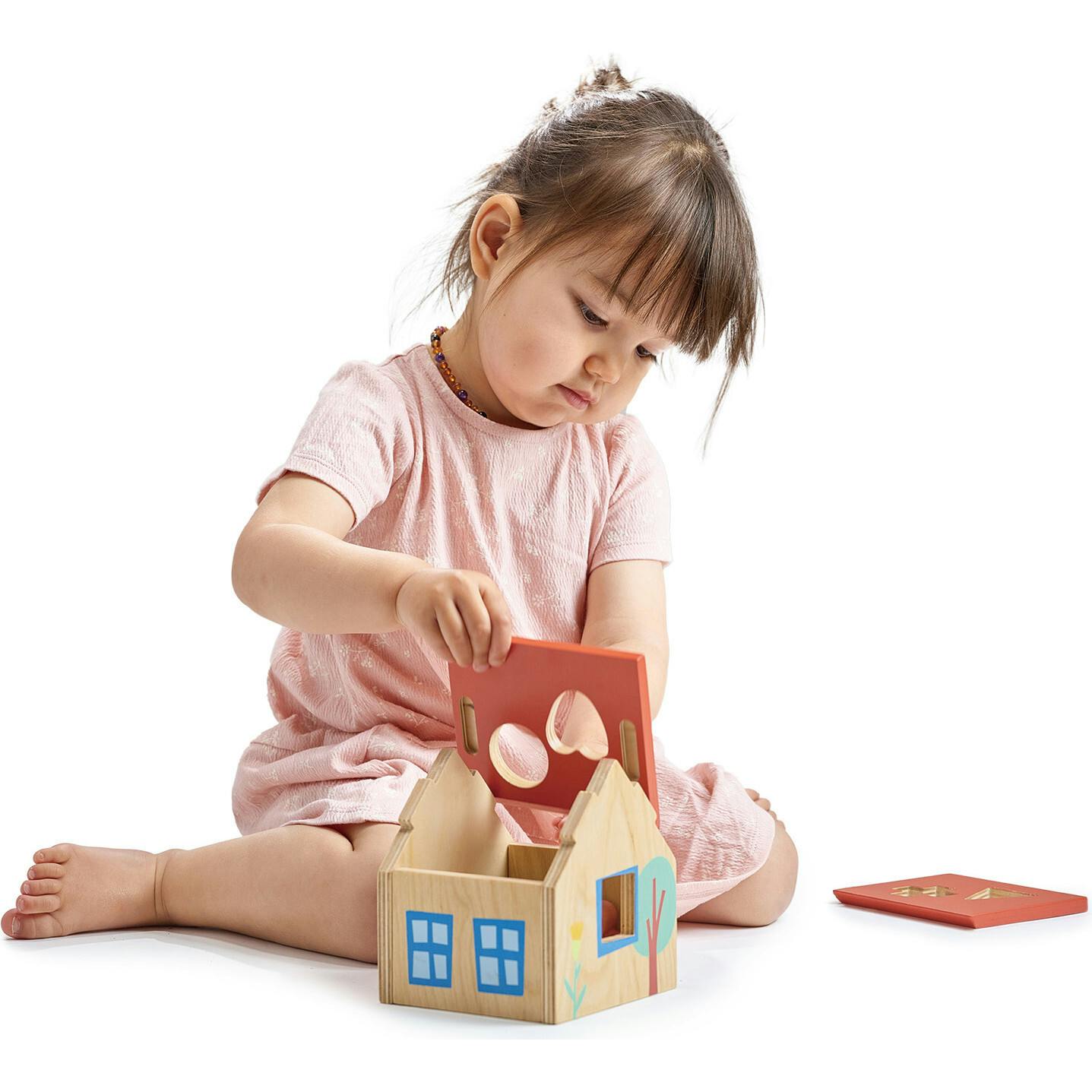 Shape Sorter House