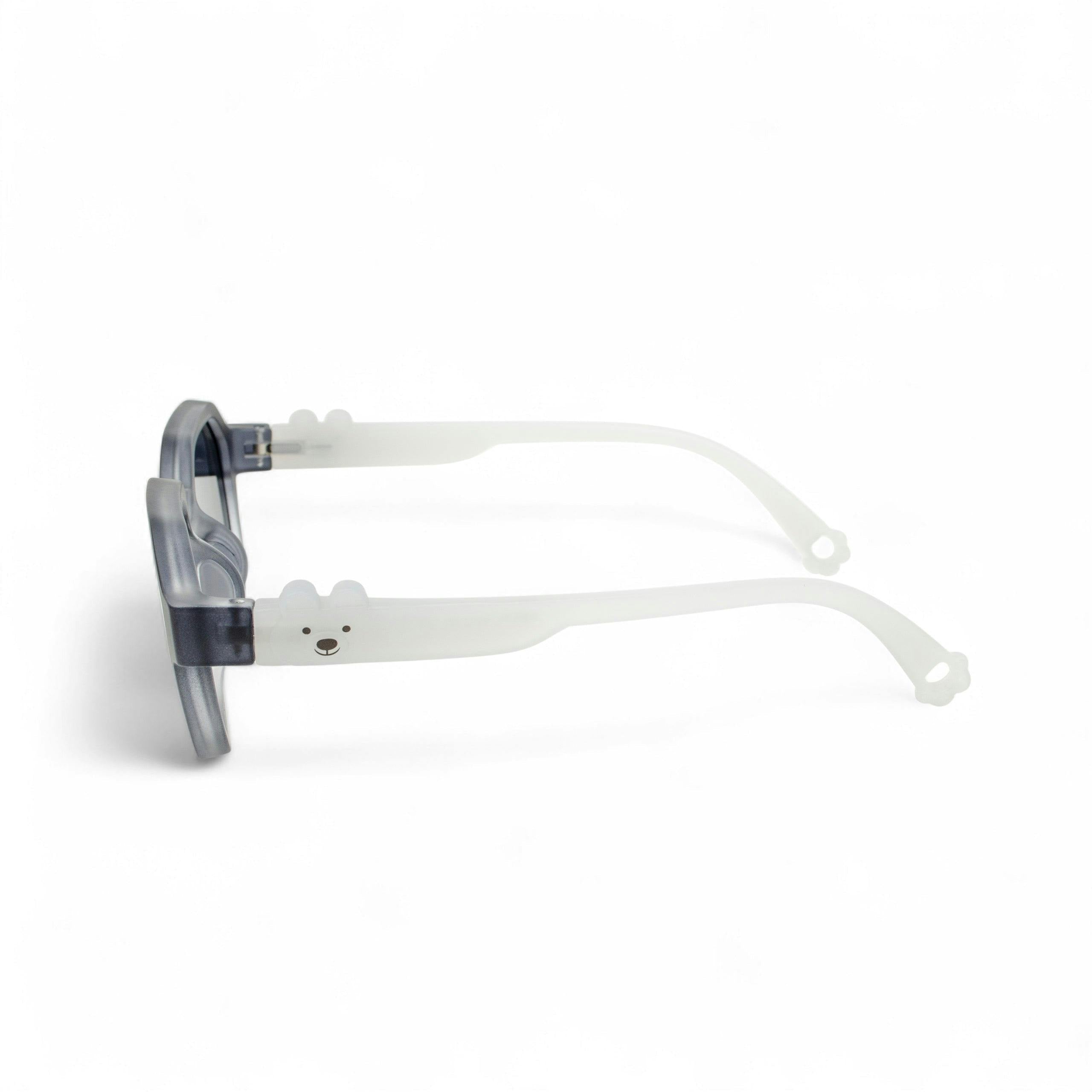 Frost Polarized Explorer Kids Sunglasses