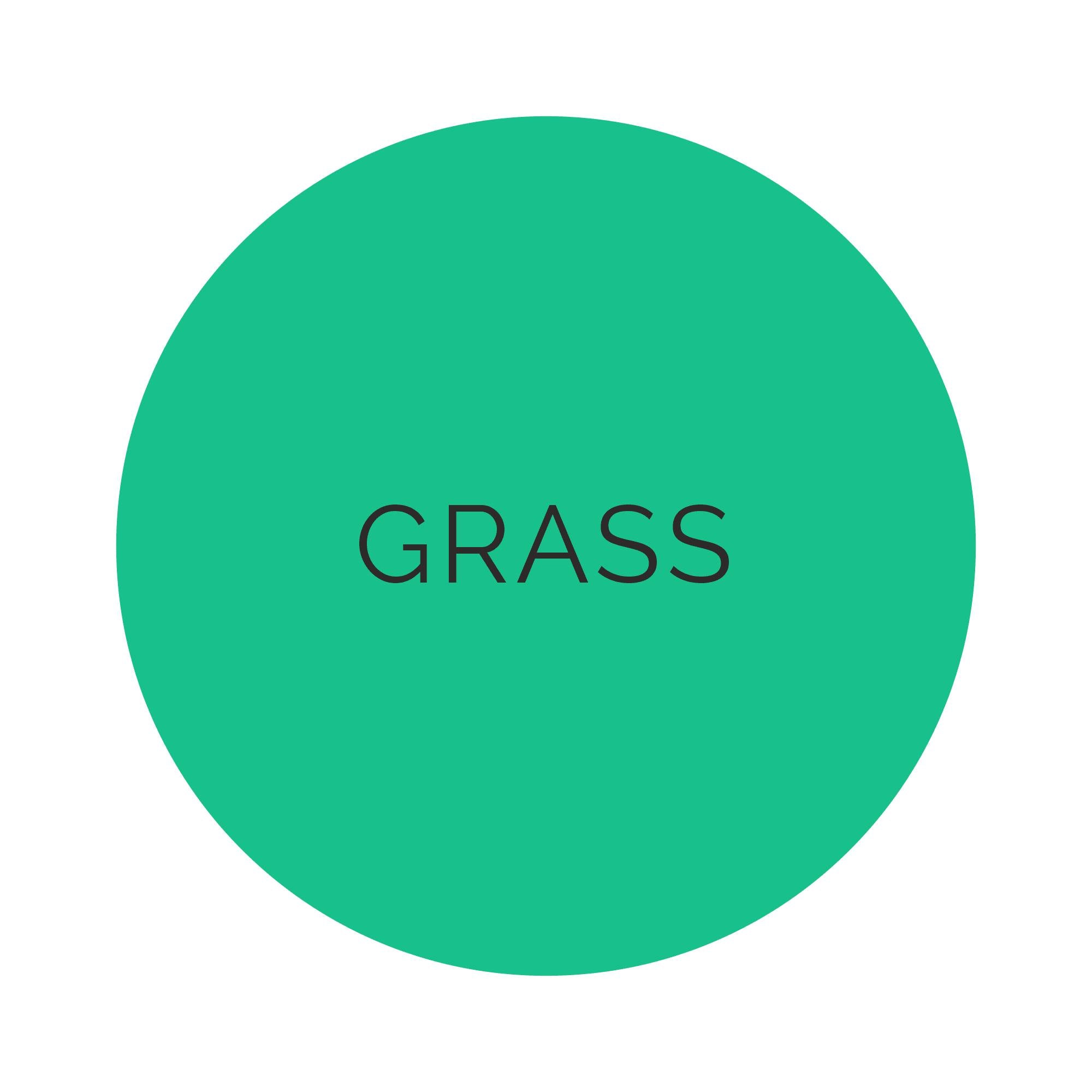 Shades Grass Guest Napkins