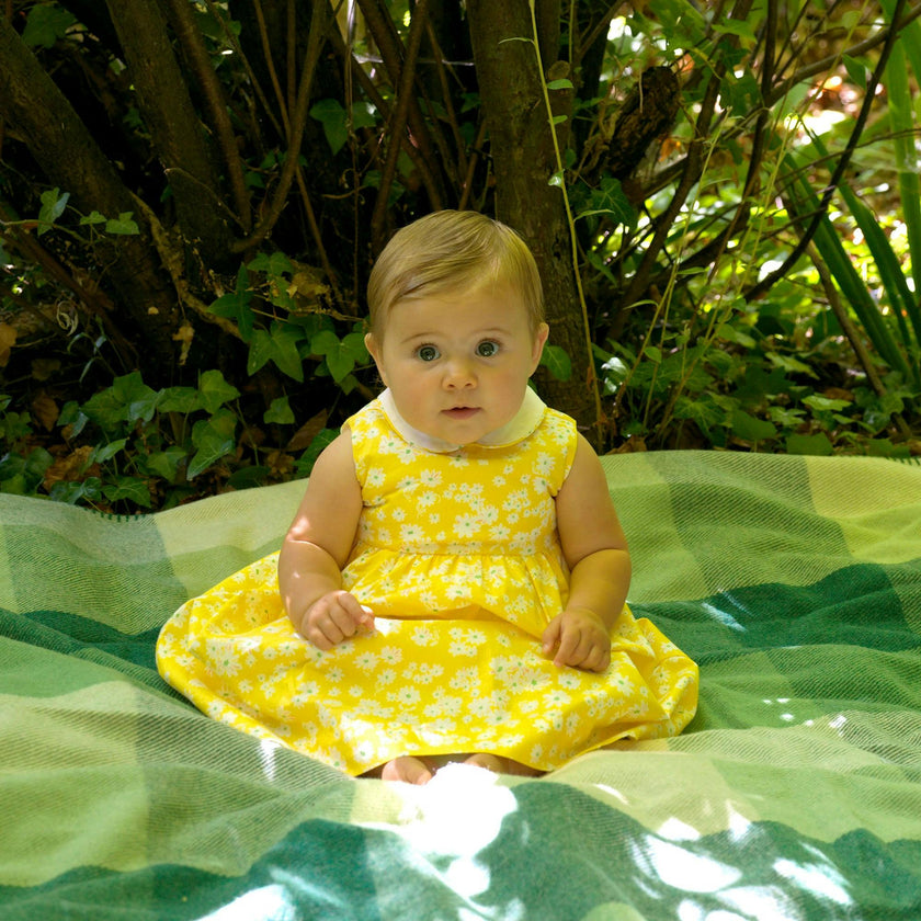 Yellow Daisy Peter Pan Collar Dress and Bloomers