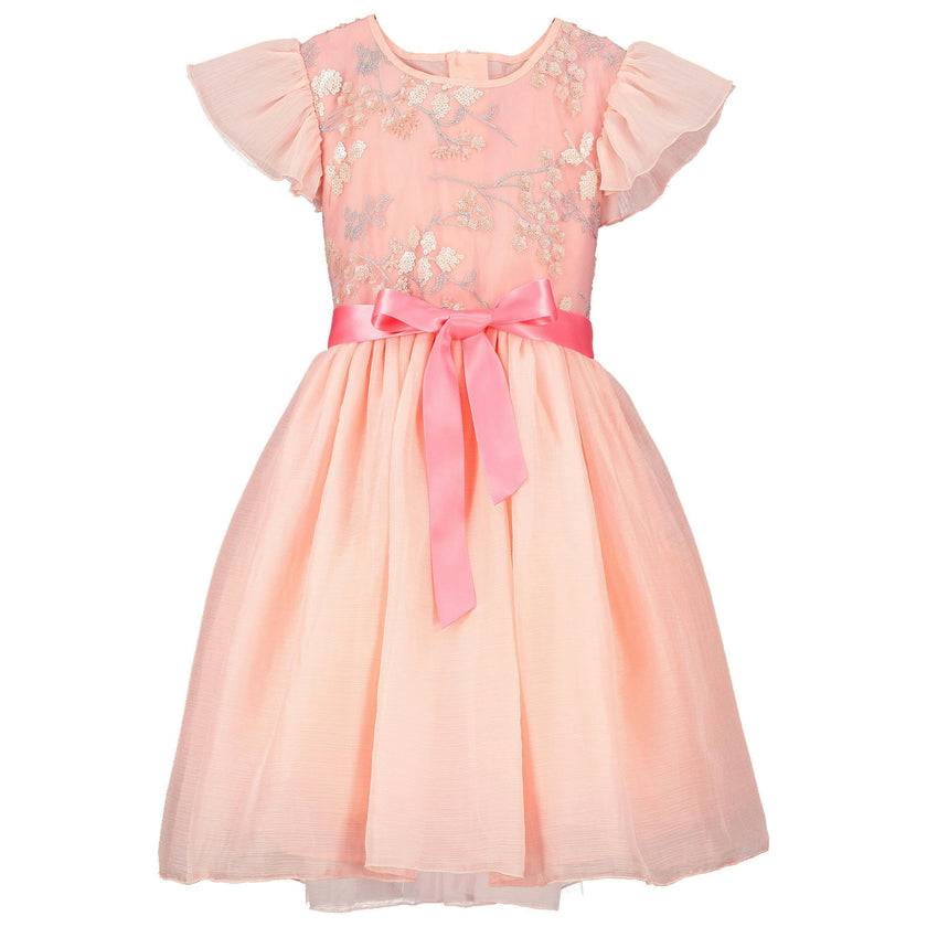 Shimmer Blossom Embroidered Dress