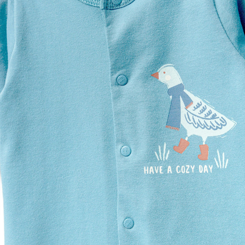 Blue Goose Graphic Babygrow & Hat