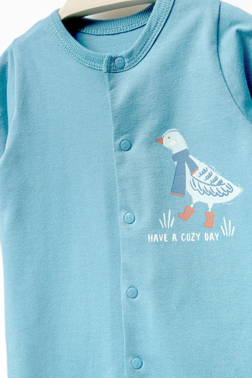 Blue Goose Graphic Babygrow & Hat