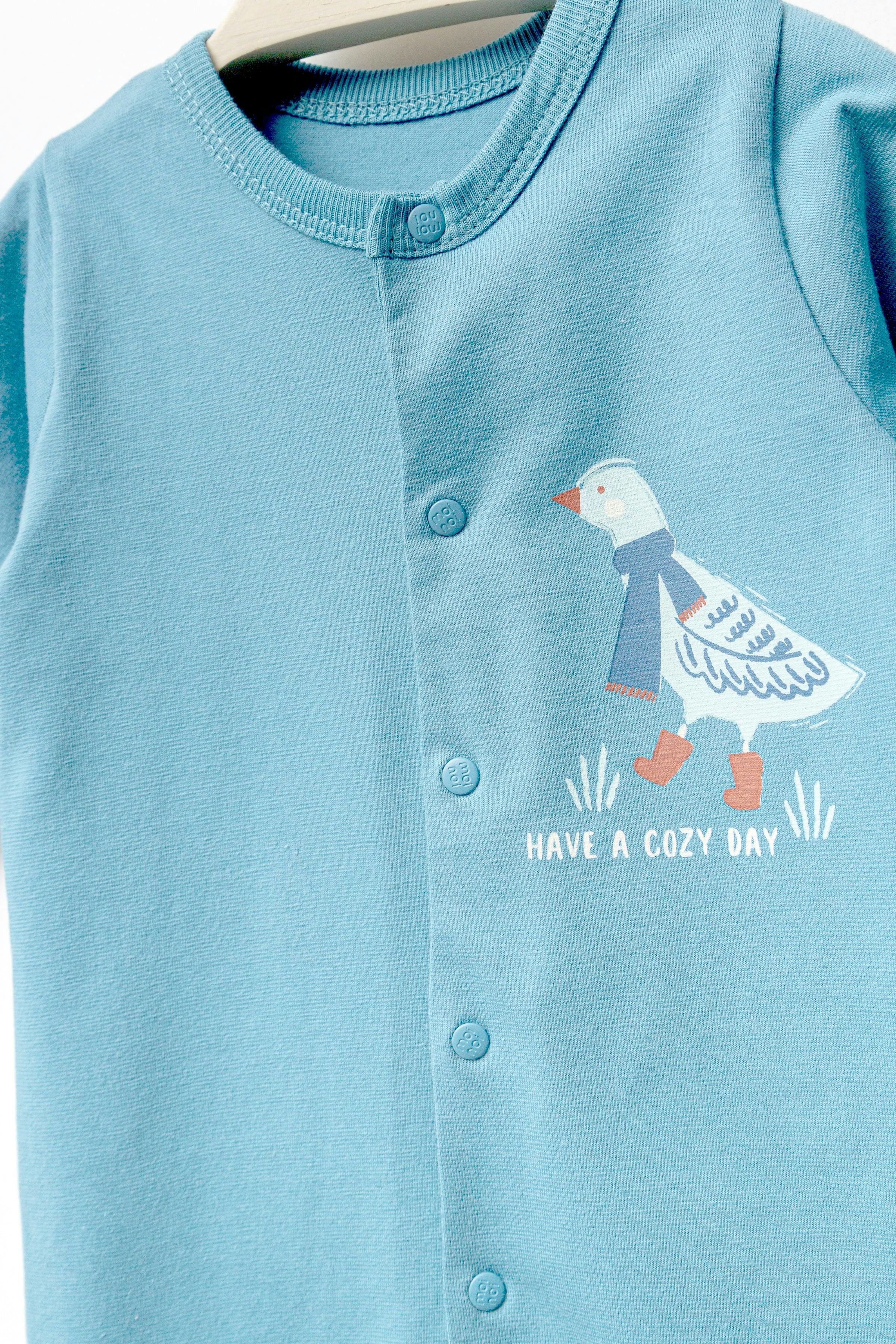 Blue Goose Graphic Babygrow & Hat