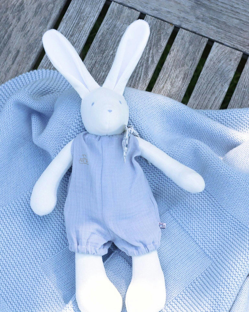 Josephine the Rabbit