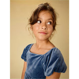 Puff Shoulder Velour Dress, Blue