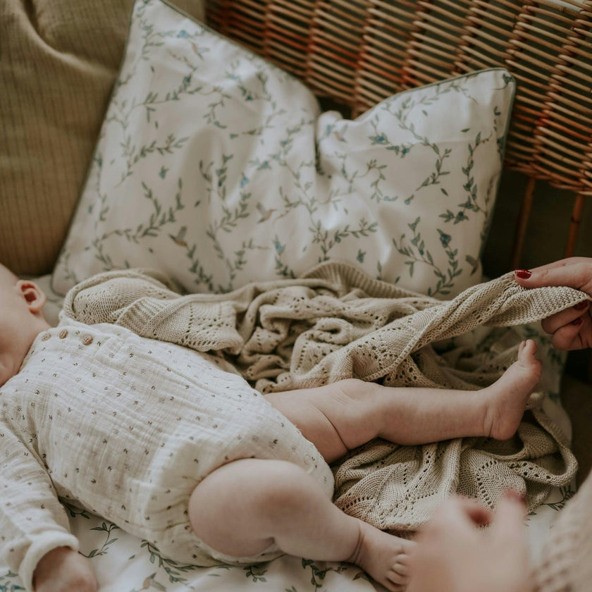 Secret Garden Toddler Pillow Set