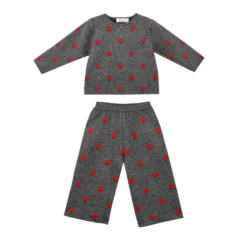 Gray Apple Knit Set