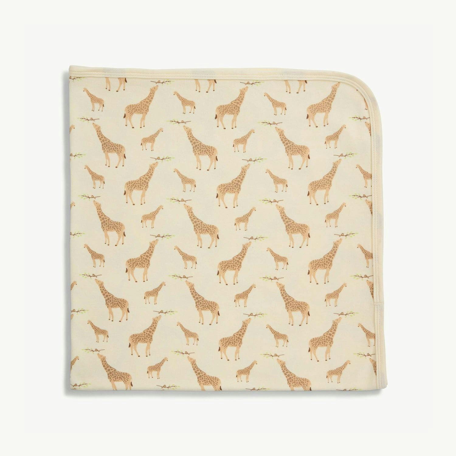 Baby Blanket