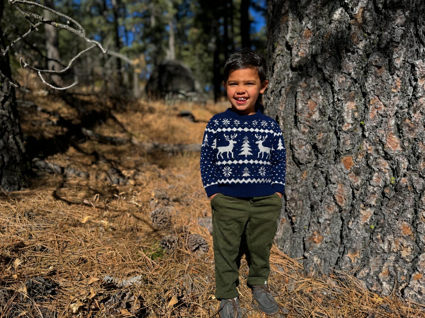 WOODY reindeer sweater