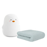 The Polaris Tricot Blanket & Nightlight
